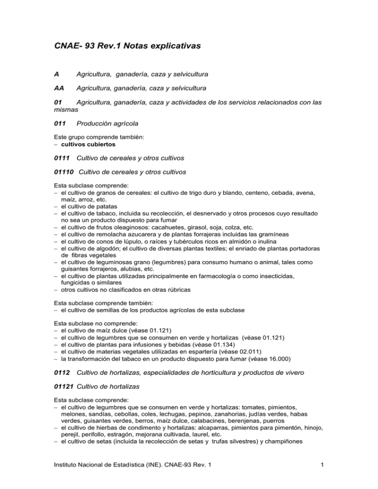 CNAE- 93 Rev.1 Notas Explicativas