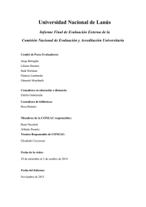 Informe - Universidad Nacional de Lanús