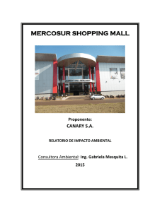 Shopping Mall Mercosur