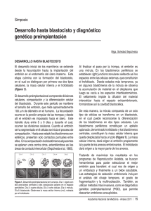 Desarrollo hasta blastocisto y diagnóstico genético preimplantación