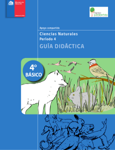 guía didáctica - Ministerio de Educación de Chile