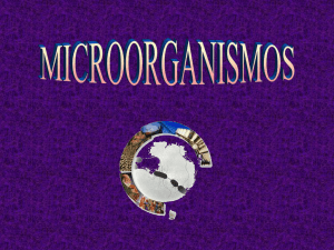 Microorganismos. Protozoos, algas y hongos