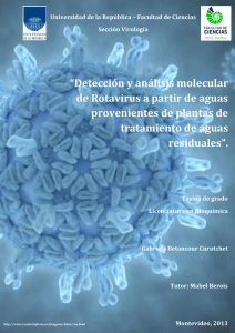 “Detección y análisis molecular de Rotavirus a partir de aguas
