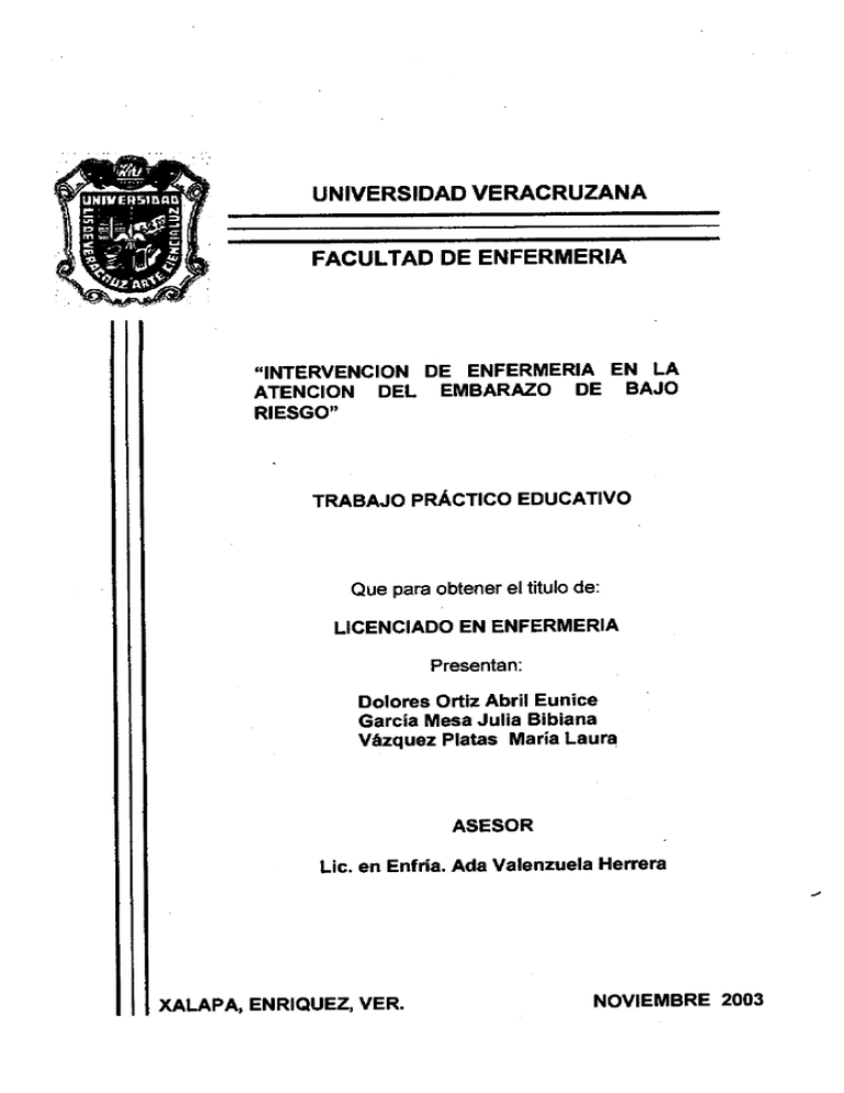 Universidad Veracruzana Facultad De Enfermeria 