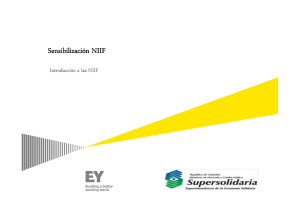 Presentación NIIF Jornadas de Supervisión