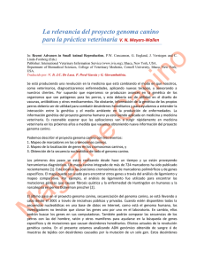 La Relevancia del Proyecto Genoma Canino para la práctica