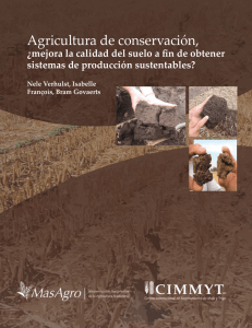 Calidad de suelo - CIMMYT. Agricultura de Conservación