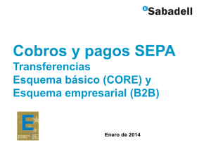 Cobros y pagos SEPA - Servicio de Información contable, gestion