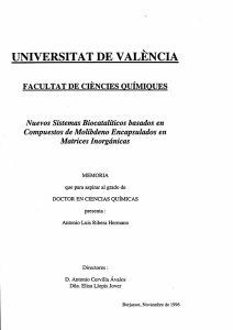 universitat de valencia