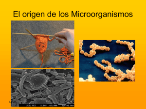 El origen de los Microorganismos