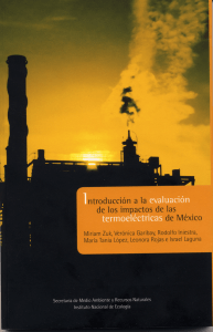 Un estudio de caso en Tuxpan, Veracruz