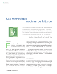 Las microalgas nocivas de México - Revista Ciencia