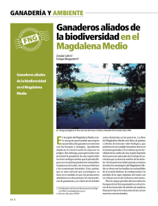 Ganaderos aliados de la biodiversidad en el Magdalena