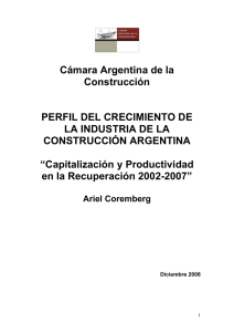 Perfil del crecimiento de la Industria de la Construcción Argentina