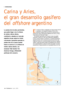 del offshore argentino