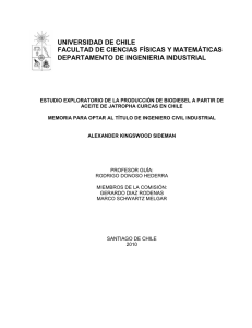 universidad de chile facultad de ciencias f&iacute;sicas y matem&aacute;ticas