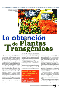 Agricultura revista agropecuaria, ISSN: 0002-1334