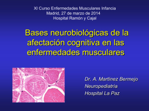 Bases neurobiológicas de la afectación cognitiva en las