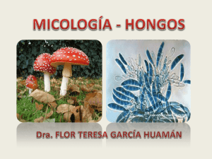 Micología. Los hongos.Crecimiento, metabolismo, reproducción
