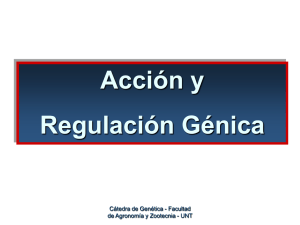 Regulación Génica