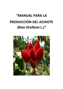 “MANUAL PARA LA PRODUCCIÓN DEL ACHIOTE (Bixa Orellana L.)”