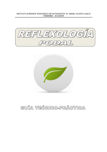 reflexologia - Instituto Superior Tecnologico de Naturopatia Dr