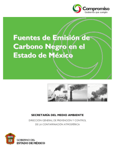 Fuentes de Emisión de Carbono Negro en el Estado de México