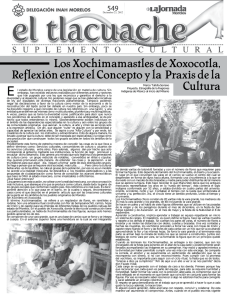 Los Xochimamastles de Xoxocotla, Reflexión entre el