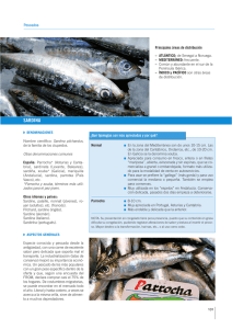 sardina - Mercasa