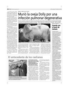 Murió la oveja Dolly por una infección pulmonar degenerativa