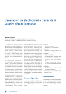 Generación de electricidad a través de la valorización de biomasas