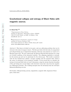 Gravitational collapse and entropy of Black Holes with magnetic