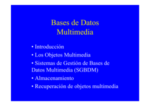 Sistemas de Gestión de Bases de Datos Multimedia