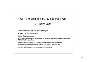 Bacteria - Instituto de Investigaciones Biotecnológicas