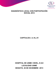 Diagnostico Local Participación Social 2012