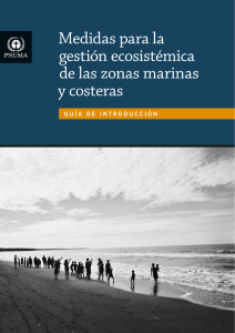 Medidas para la gestión ecosistémica de las zonas marinas y costeras
