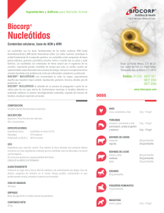 Biocorp® Nucleótidos