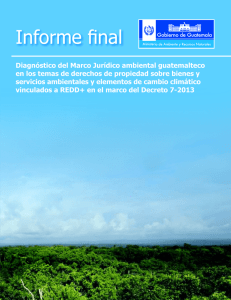 Informe final - Ministerio de Ambiente y Recursos Naturales