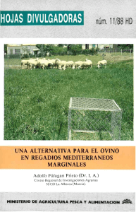 11/1988 - Ministerio de Agricultura, Alimentación y Medio Ambiente