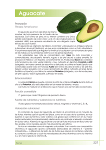Aguacate - FEN. Fundación Española de la Nutrición