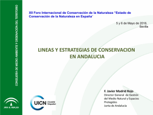 Líneas y estrategias de conservación