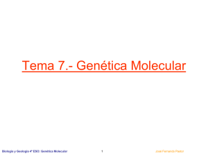 Tema 7.- Genética Molecular