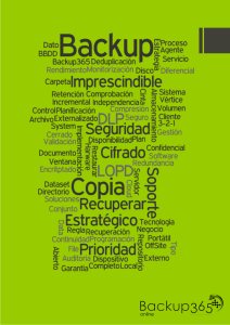 Backup365 - Informe Amenazas 2016 y Plan de Seguridad.v.3