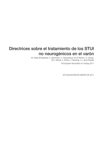 Directrices sobre el tratamiento de los STUI no neurogénicos en el