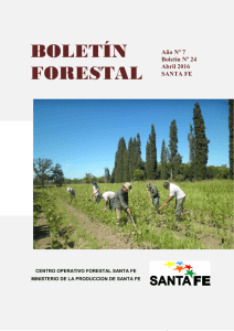 Boletín Forestal Nº 24 - Abril 2016