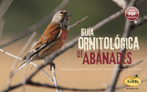 Ornitología - Los Ánades