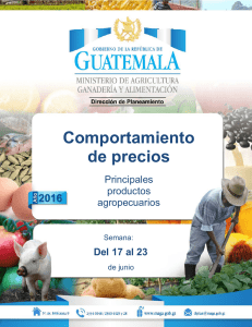 Guatemala Informe Semanal De Precios Del 17 Al 23 De Junio 2016