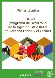 PRODAR (Programa de Desarrollo de la Agroindustria Rural de