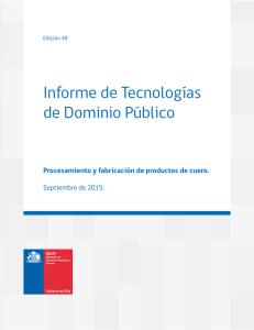 Informe de Tecnologías de Dominio Público