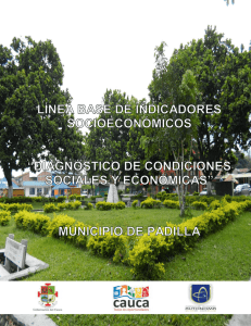 Informe Padilla - Gobernación del Cauca
